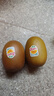 佳沛（zespri）新西兰  阳光金奇异果18粒礼盒优选果单果约101-124g 猕猴桃水果 实拍图