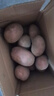 内蒙红皮大土豆新鲜黄心土豆现挖洋芋地蛋马铃薯粉面火锅批发 红皮土豆大果 5斤 【单果150g+】 实拍图