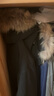 京东京造【进口极寒95鹅绒服】羽绒服男外套女冬季新款中长款 曜石黑 3XL 实拍图