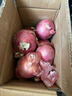 京鲜生 甘肃紫红皮洋葱净重5斤单果200g+ 现挖新鲜蔬菜 源头直发包邮 实拍图