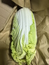 京鲜生山东新鲜大娃娃菜净重3斤单棵300g+新鲜蔬菜 黄心娃娃菜源头直发 实拍图