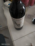 CANIS FAMILIARIS布多格原瓶进口红酒 西拉干红葡萄酒 750ml 单瓶装 实拍图