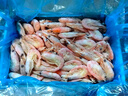 美加佳 加拿大熟冻北极腹籽甜虾净重400g 35-50只   熟冻甜虾  实拍图