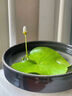 水培一叶莲浮萍迷你水草净化水质鱼缸造景睡莲花水生水养花卉植物 一叶莲 【3片装】尺寸8-11厘米 实拍图