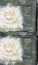 babycare金山茶花拉拉裤XXL30片(>15kg)婴儿尿不湿超薄透气新生柔花苞裤 实拍图