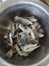【冷冻】拾鲜生 梭子蟹鲜活冷冻特大螃蟹海蟹海鲜5斤 7-9两/只 25年新蟹 源头直发包邮 实拍图