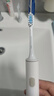 东耐伦 适配小米电动牙刷头T300/T500 米家青春版MI成人声波柔软毛清洁通用替换刷头牙刷头 8支 【植毛量升级款】标准清洁型 实拍图