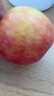 甜醉了 烟台苹果栖霞红富士新鲜水果生鲜山东特产脆甜整箱平果礼盒礼品 净重5斤 85mm 实拍图
