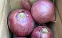 京鲜生 甘肃紫红皮洋葱净重5斤单果200g+ 现挖新鲜蔬菜 源头直发包邮 实拍图