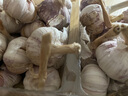 京鲜生山东金乡大蒜带皮新鲜干蒜净重3斤单果4.5cm起源头直发包邮 实拍图