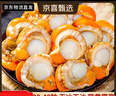 【新货上市】特大号扇贝肉纯野生海捕新鲜扇贝冷冻海鲜带冰保鲜 扇贝肉400g*2 实拍图