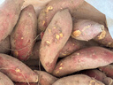 京鲜生临安天目山小香薯 5斤  约30-50g单果 香甜软糯皮薄无筋 源头直发 实拍图