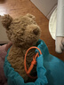 Jellycat巴塞罗熊动物毛绒玩偶儿童安抚公仔小熊潮玩生日新婚礼物 巴塞罗熊 Medium 实拍图