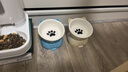 憨憨乐园猫碗陶瓷猫粮双碗斜口狗碗狗盆狗粮宠物幼猫咪吃饭食盆喝水喂食 实拍图