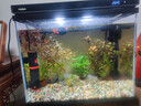 森森 小鲤鱼缸过滤器净水循环三合一内置水族箱过滤系统XQP-500F 6W 实拍图