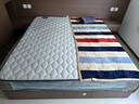 雅兰品牌前十名天然乳胶床垫椰棕垫席梦思弹簧床垫子硬垫  梦寐 梦寐3.0【椰棕乳胶 独袋弹簧】21cm 1.8x2米 实拍图