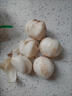 金城百合谷兰州百合甘肃特产生鲜百合新鲜现挖农家食用甜 炒菜炖汤滋润蔬菜 一斤4个独头装 （真空+保鲜箱） 实拍图