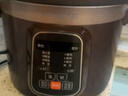 九阳（Joyoung）电炖锅电炖盅电砂锅炖汤盅煲汤锅多功能锅紫砂锅燕窝炖盅煮粥锅直炖4L大容量 可预约保温GD410 实拍图