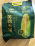 十月稻田 四平黄糯玉米 3.52斤(220g*8根)东北玉米棒 低脂早餐 零食 实拍图