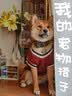 宜品达狗狗衣服中型犬秋冬款保暖柴犬泰迪比熊法斗柯基学院风卫毛衣秋季 酒红学院风毛衣 3XL适合28斤内 实拍图