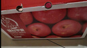 京鲜生 烟台红富士苹果 净重10斤 单果220g以上 水果礼盒 实拍图