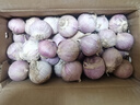 云南紫皮独头蒜干蒜果经3.0mm+ 大果直径3.0左右（3斤） 实拍图