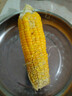 云南高原新鲜水果玉米起脆甜爆浆可生吃现采现发300g/棒营养早餐 水果玉米4.8-5斤 净重 实拍图