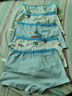 芬腾可安儿童内裤A类婴儿棉5条7A抑菌男童中大童平角短裤 实拍图