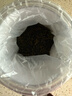 草木方花草茶 小叶苦丁茶250g 特级2025新茶嫩芽四川峨眉山头采明前茶叶 实拍图