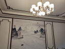 东羽 新中式客厅吊灯中国风玉石卧室餐厅茶楼别墅大气书房创意灯具 4头-电镀工艺-封口灯罩 实拍图