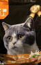 亿迪 猫粮幼猫成猫10斤全价国产布偶流浪猫蓝猫英短全阶段专用 实拍图