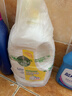 滴露（Dettol）衣物除菌液 消毒液 柠檬3L 99.9%杀菌除螨内衣儿童衣物可配洗衣液 实拍图