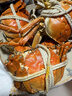 【活蟹】阳澄联合鲜活大闸蟹公4.5-4.8两母3.5-3.8两 5对10只螃蟹海鲜礼盒 实拍图