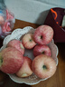 京鲜生山东烟台红富士苹果 5斤装单果75-80mm生鲜水果 源头直发 包邮 实拍图