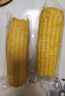 京鲜生 东北黄玉米260g*10棒 真空包装黏玉米棒粘玉米 源头直发 实拍图