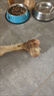 疯狂小狗宠物狗零食磨牙牛骨头金毛边牧中大型犬耐啃 鸭肉绕牛棒骨150g 实拍图