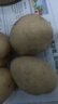 京喜加新鲜黄心土豆农家自种黄皮马铃薯黄心洋芋新鲜蔬菜 250g 实拍图