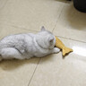 欢宠网猫玩具猫咪逗猫棒猫薄荷磨牙棒自嗨解闷神器磨牙猫猫小猫幼猫宠物 实拍图