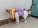 欢宠网伊丽莎白圈猫宠物狗猫咪狗狗绝育软项圈头套脖套防舔防咬脖圈幼猫 实拍图