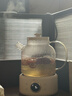OIDIRE（偶点）全玻璃养生壶 花茶壶无胶水煮茶壶 煮茶器办公室恒温养生壶烧水壶电热水壶炖煮智能保温 1L ODI-HC01花茶养生壶【不带滤网】 实拍图