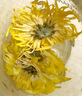 福东海 花草茶 金丝皇菊 安徽黄山特级【买3发4共120大朵】贡菊花茶叶 实拍图