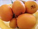 【热销】湖北秭归脐橙鲜果上市 带箱2斤55-60mm 实拍图