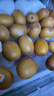 佳沛（zespri）新西兰  阳光金奇异果巨大果22粒原箱 单果重约144-175g 猕猴桃 实拍图