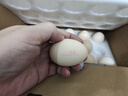 1号会员店可生食鸡蛋30枚净重3.6斤精选大码蛋礼盒装 源头直发 实拍图