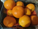 京鲜生 金秋砂糖橘/砂糖桔 2斤 生鲜水果  实拍图