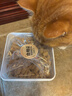 parlmu帕蓝姆猫粮主食冻干生骨肉增肥发腮猫咪宠物主粮主食冻干500g 实拍图