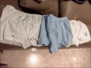 英氏（YEEHOO）儿童内裤平角打底短裤不夹屁屁 岛屿独家(男宝3条装) 130 cm 实拍图
