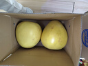 【精品红柚】正宗福建平和琯溪红心蜜柚子菜篮子超甜新鲜水果 红心蜜柚带箱9-10斤（大小果随机配重） 实拍图