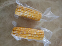 京鲜生甘肃水果玉米220g*8棒真空甜玉米棒低脂代餐免煮开袋即食源头直发 实拍图