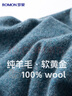 罗蒙【100%羊毛】纯羊毛衫男秋冬圆领毛衣男士薄款套头打底针织衫男装 实拍图